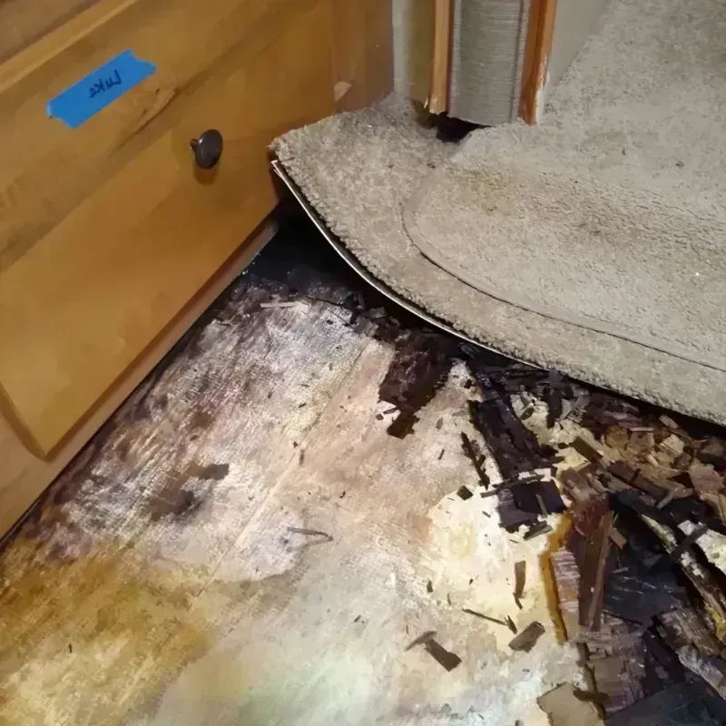 Wood Floor Water Damage in Freehold, NJ